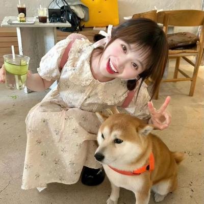 误入君梦