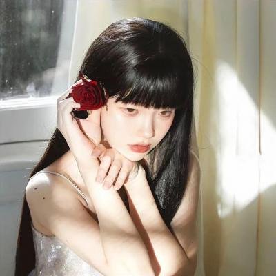 聪明的鸭子